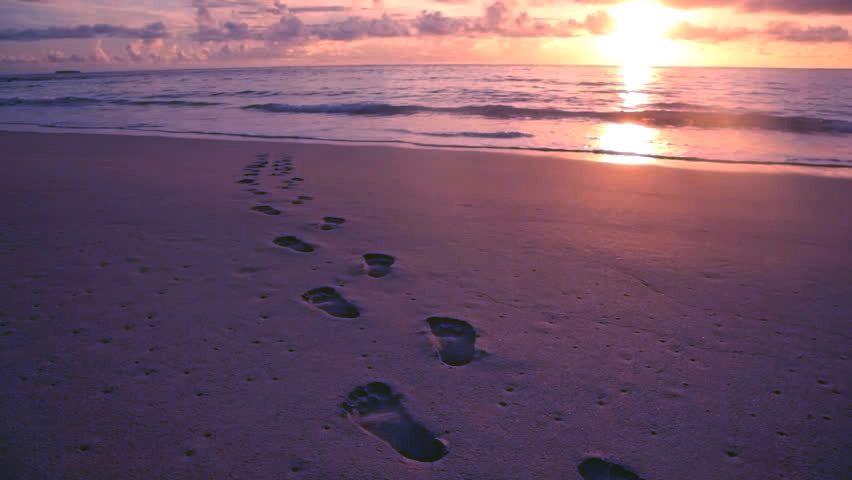 A PSALM OF LIFE...........